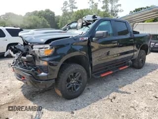✅ 2024 Chevrolet Silverado 1500 Custom Trail Boss • VIN: 3GCPDCEK9RG328282 • Lot: 59040895. Listed on Copart with Not provided. Free auction sales archive from the USA and detailed vehicle history report at DreamBid. Image 1.