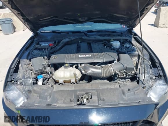 ✅ 2022 Ford Mustang GT • VIN: 1FA6P8CFXN5134440 • Lot: 43142660. Listed on IAAI with 44,087 mi. Free auction sales archive from the USA and detailed vehicle history report at DreamBid. Image 10.