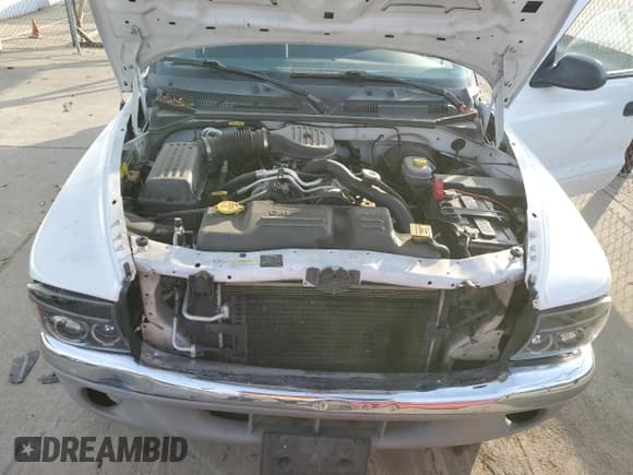 ✅ 2002 Dodge Dakota Sport • VIN: 1B7GL32X02S550520 • Lot: 84116494. Wystawiony na Copart z przebiegiem 87 531 mil. Bezpłatny archiwum sprzedaży aukcyjnych z USA i szczegółowy raport historii pojazdu na DreamBid. Zdjęcie 11.