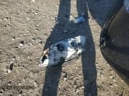 ✅ 2009 Chevrolet Malibu 1LT • VIN: 1G1ZH57B89F244177 • Lot: 79825444. Listed on Copart with 114,049 mi. Free auction sales archive from the USA and detailed vehicle history report at DreamBid. Image 12.