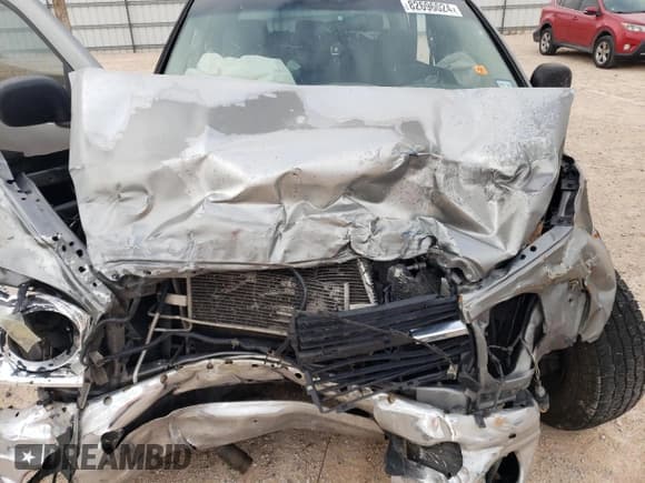 ✅ 2008 Dodge 1500 SLT • VIN: 3D7KR19D08G126575 • Лот: 82696024. Опубликован ранее на Copart с пробегом Не указан. Бесплатный доступ к архиву аукционных продаж из США и подробный отчёт об истории автомобиля на DreamBid. Изображение 12.