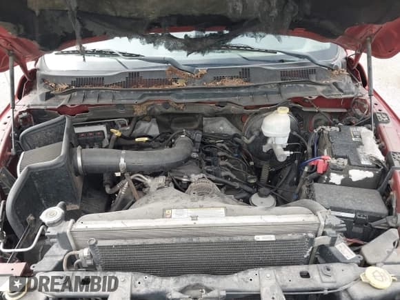 ✅ 2009 Dodge 1500 TRX • VIN: 1D3HV18P19S802657 • Lot: 42677167. Wystawiony na IAAI z przebiegiem 200 745 mil. Bezpłatny archiwum sprzedaży aukcyjnych z USA i szczegółowy raport historii pojazdu na DreamBid. Zdjęcie 10.