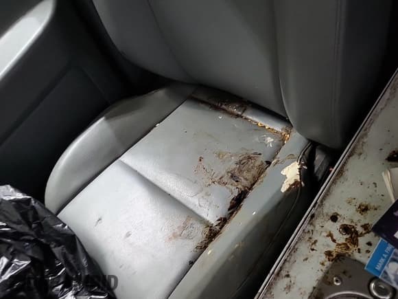 ✅ 2016 Ford Transit Cargo • VIN: 1FTYE1CMXGKB49264 • Lot: 43940612. Listed on IAAI with 270,062 mi. Free auction sales archive from the USA and detailed vehicle history report at DreamBid. Image 24.