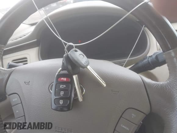 ✅ 2009 Hyundai Azera Limited • VIN: KMHFC46F19A373801 • Lot: 41481510. Listed on IAAI with 186,248 mi. Free auction sales archive from the USA and detailed vehicle history report at DreamBid. Image 11.