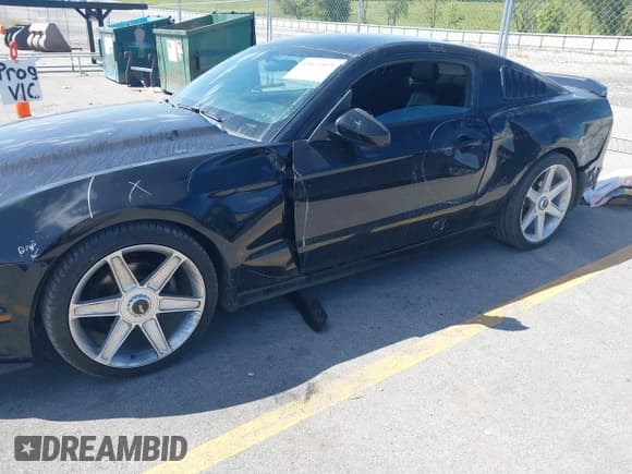 ✅ 2014 Ford Mustang V6 • VIN: 1ZVBP8AM7E5308634 • Lot: 43073553. Listed on IAAI with 186,126 mi. Free auction sales archive from the USA and detailed vehicle history report at DreamBid. Image 17.
