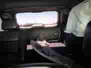 2021 Jeep Grand Cherokee 80th Anniversary с VIN 1C4RJEBG5MC783395, выставлен на аукционе Copart как лот 63918425 с пробегом 62 366 миль миль и Списание • Salvage title. История ставок и продаж доступна на DreamBid. Изображение 10.