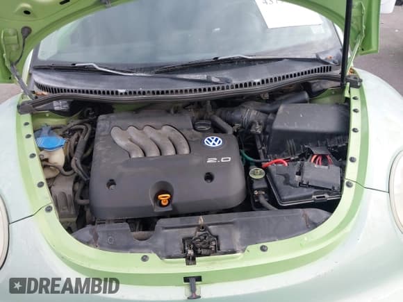 ✅ 1999 Volkswagen Beetle GLS • VIN: 3VWCA21C3XM421312 • Лот: 43793609. Опубликован ранее на IAAI с пробегом 158 142 миль. Бесплатный доступ к архиву аукционных продаж из США и подробный отчёт об истории автомобиля на DreamBid. Изображение 10.