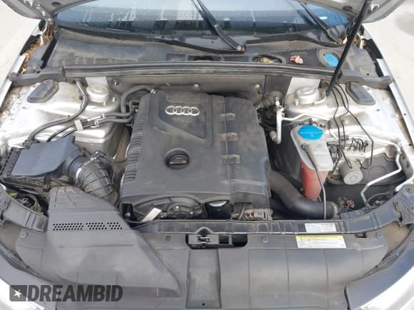 ✅ 2013 Audi A4 Premium Plus • VIN: WAUFFAFL3DN003254 • Lot: 43864759. Listed on IAAI with 138,603 mi. Free auction sales archive from the USA and detailed vehicle history report at DreamBid. Image 10.