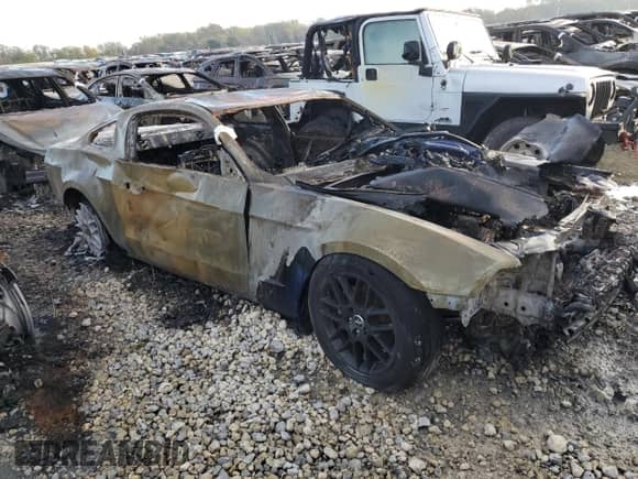 2014 Ford Mustang V6 с VIN 1ZVBP8AM5E5291073, выставлен на аукционе Copart как лот 80447375 с пробегом Не указан миль и Списание • Salvage title. История ставок и продаж доступна на DreamBid. Изображение 4.