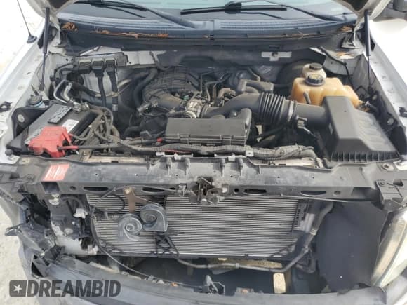 ✅ 2012 Ford F-150 XL • VIN: 1FTMF1CM8CFB96436 • Lot: 69832305. Listed on Copart with 124,336 mi. Free auction sales archive from the USA and detailed vehicle history report at DreamBid. Image 11.