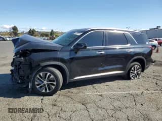 2022 Hyundai Palisade SEL с VIN KM8R24HE2NU356860, выставлен на аукционе Copart как лот 80208045 с пробегом 28 803 миль миль и Списание • Salvage title. История ставок и продаж доступна на DreamBid. Изображение 1.