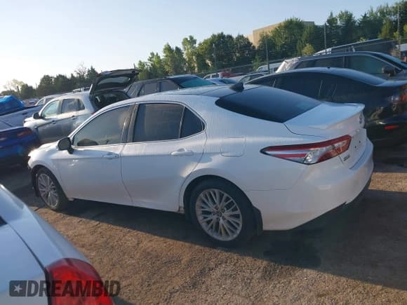 ✅ 2019 Toyota Camry SE • VIN: 4T1B11HK3KU299282 • Lot: 43262697. Listed on IAAI with 59,295 mi. Free auction sales archive from the USA and detailed vehicle history report at DreamBid. Image 14.