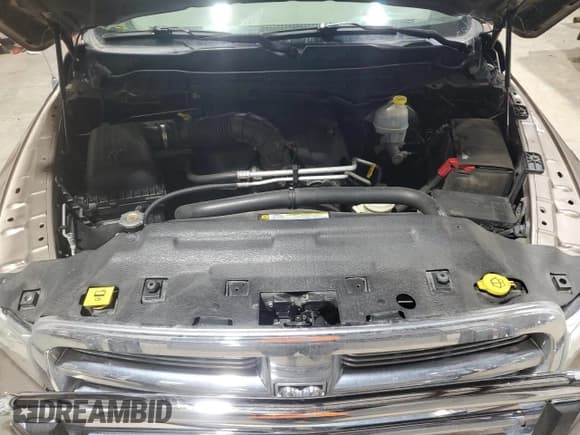 ✅ 2010 Dodge 1500 SLT • VIN: 1D7RV1CT4AS198355 • Lot: 43145485. Wystawiony na Copart z przebiegiem 128 884 mil. Bezpłatny archiwum sprzedaży aukcyjnych z USA i szczegółowy raport historii pojazdu na DreamBid. Zdjęcie 12.