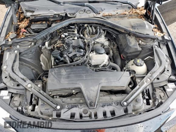 ✅ 2015 BMW 4 Series 428i • VIN: WBA3V5C52FP752590 • Лот: 81380235. Опубликован ранее на Copart с пробегом 70 362 миль. Бесплатный доступ к архиву аукционных продаж из США и подробный отчёт об истории автомобиля на DreamBid. Изображение 11.