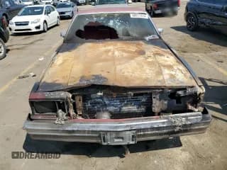 ✅ 1979 Chevrolet El Camino • VIN: 1W80J9K525072 • Лот: 68811314. Опубликован ранее на Copart с пробегом Не указан. Бесплатный доступ к архиву аукционных продаж из США и подробный отчёт об истории автомобиля на DreamBid. Изображение 5.