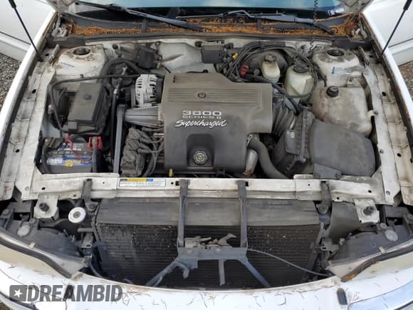 ✅ 1998 Buick Park Avenue Ultra • VIN: 1G4CU5214W4626989 • Лот: 93940945. Опубликован ранее на Copart с пробегом Не указан. Бесплатный доступ к архиву аукционных продаж из США и подробный отчёт об истории автомобиля на DreamBid. Изображение 11.