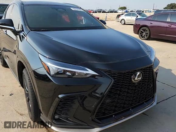 ✅ 2024 Lexus NX 350 F Sport • VIN: 2T2KGCEZ0RC044964 • Lot: 80254265. Wystawiony na Copart z przebiegiem Nie podano. Bezpłatny archiwum sprzedaży aukcyjnych z USA i szczegółowy raport historii pojazdu na DreamBid. Zdjęcie 14.