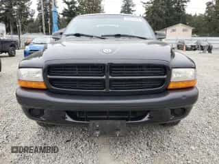 1999 Dodge Dakota SLT с VIN 1B7GL22X3XS314364, выставлен на аукционе Copart как лот 70833524 с пробегом 51 221 миль миль и Списание • Salvage title. История ставок и продаж доступна на DreamBid. Изображение 5.