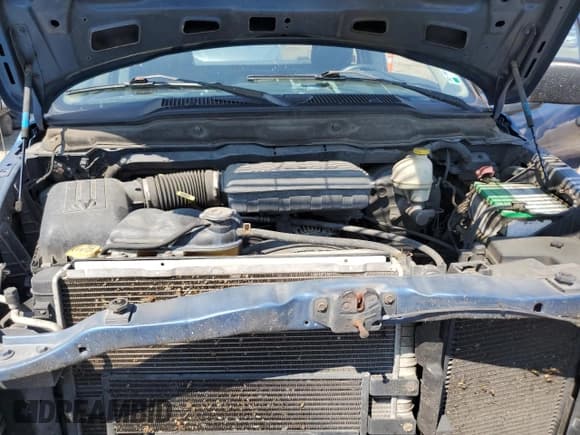 ✅ 2003 Dodge 1500 ST • VIN: 1D7HA16K13J661054 • Лот: 80490165. Опубликован ранее на Copart с пробегом 134 710 миль. Бесплатный доступ к архиву аукционных продаж из США и подробный отчёт об истории автомобиля на DreamBid. Изображение 11.