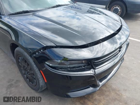 ✅ 2016 Dodge Charger Police • VIN: 2C3CDXKT5GH197484 • Лот: 43330453. Опубликован ранее на IAAI с пробегом 163 612 миль. Бесплатный доступ к архиву аукционных продаж из США и подробный отчёт об истории автомобиля на DreamBid. Изображение 21.