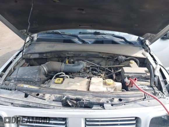 ✅ 2010 Dodge Nitro SXT • VIN: 1D4PU5GK8AW146087 • Lot: 42423104. Listed on IAAI with 220,381 mi. Free auction sales archive from the USA and detailed vehicle history report at DreamBid. Image 10.