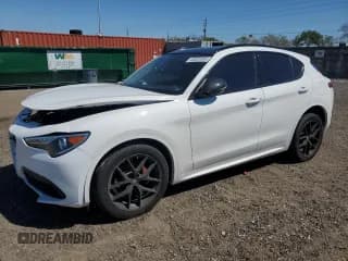 ✅ 2020 Alfa Romeo Stelvio • VIN: ZASPAJAN7L7C92406 • Lot: 48325595. Wystawiony na Copart z przebiegiem 56 078 mil. Bezpłatny archiwum sprzedaży aukcyjnych z USA i szczegółowy raport historii pojazdu na DreamBid. Zdjęcie 1.