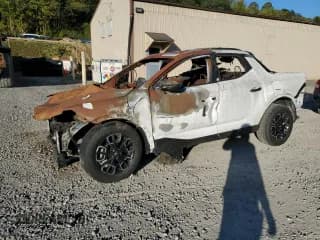 ✅ 2024 Hyundai Santa Cruz SEL • VIN: 5NTJC4AE4RH079168 • Лот: 84653025. Опубликован ранее на Copart с пробегом Не указан. Бесплатный доступ к архиву аукционных продаж из США и подробный отчёт об истории автомобиля на DreamBid. Изображение 1.