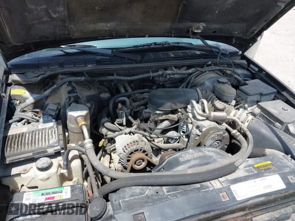 ✅ 1999 Oldsmobile Bravada • VIN: 1GHDT13W8X2704177 • Lot: 42651643. Wystawiony na IAAI z przebiegiem 132 543 mil. Bezpłatny archiwum sprzedaży aukcyjnych z USA i szczegółowy raport historii pojazdu na DreamBid. Zdjęcie 10.