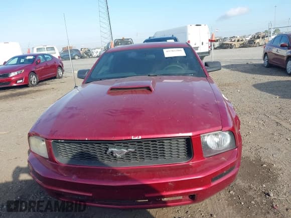 ✅ 2007 Ford Mustang Deluxe • VIN: 1ZVFT80N875333293 • Lot: 43703309. Listed on IAAI with 267,629 mi. Free auction sales archive from the USA and detailed vehicle history report at DreamBid. Image 12.