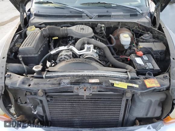 1999 Dodge Dakota SLT с VIN 1B7GG22Y3XS107843, выставлен на аукционе Copart как лот 80652574 с пробегом 187 907 миль миль и Чистый • Clean title. История ставок и продаж доступна на DreamBid. Изображение 11.