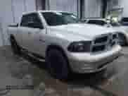 2010 Dodge 1500 Sport с VIN 1D7RV1CT8AS136330, выставлен на аукционе IAAI как лот 42013409 с пробегом 200 420 миль миль и . История ставок и продаж доступна на DreamBid. Изображение 1.