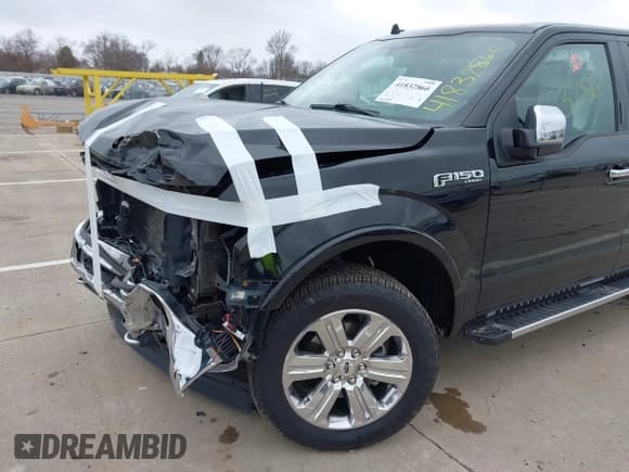 ✅ 2019 Ford F-150 XL • VIN: 1FTEW1EP3KFD20185 • Lot: 41832860. Listed on IAAI with 80,298 mi. Free auction sales archive from the USA and detailed vehicle history report at DreamBid. Image 18.