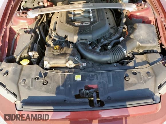 ✅ 2014 Ford Mustang GT Premium • VIN: 1ZVBP8CF0E5204095 • Lot: 82158435. Listed on Copart with 159,330 mi. Free auction sales archive from the USA and detailed vehicle history report at DreamBid. Image 11.