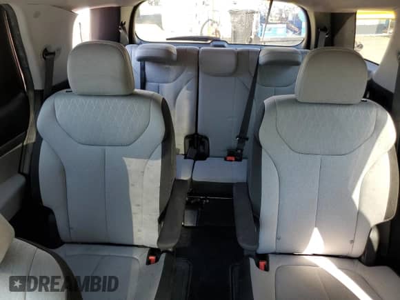 2021 Hyundai Palisade SEL с VIN KM8R24HE7MU177115, выставлен на аукционе Copart как лот 74379354 с пробегом 99 498 миль миль и Списание • Salvage title. История ставок и продаж доступна на DreamBid. Изображение 10.