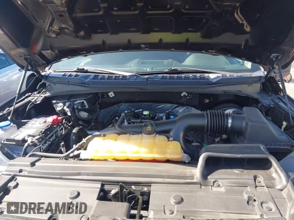 ✅ 2019 Ford F-150 XL • VIN: 1FTEW1CP4KKC27895 • Lot: 43342180. Listed on IAAI with 97,144 mi. Free auction sales archive from the USA and detailed vehicle history report at DreamBid. Image 10.