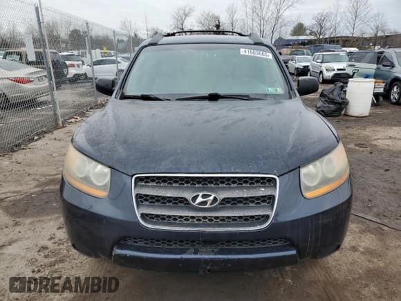 ✅ 2009 Hyundai Santa Fe GLS • VIN: 5NMSG13D89H324531 • Lot: 41603665. Listed on Copart with 132,500 mi. Free auction sales archive from the USA and detailed vehicle history report at DreamBid. Image 5.