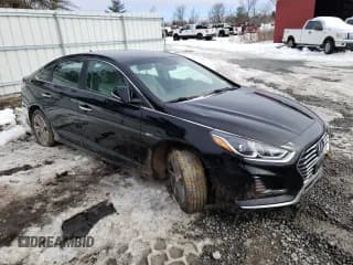 ✅ 2019 Hyundai Sonata • VIN: KMHE14L21KA093059 • Лот: 43821243. Опубликован ранее на Copart с пробегом Не указан. Бесплатный доступ к архиву аукционных продаж из США и подробный отчёт об истории автомобиля на DreamBid. Изображение 4.