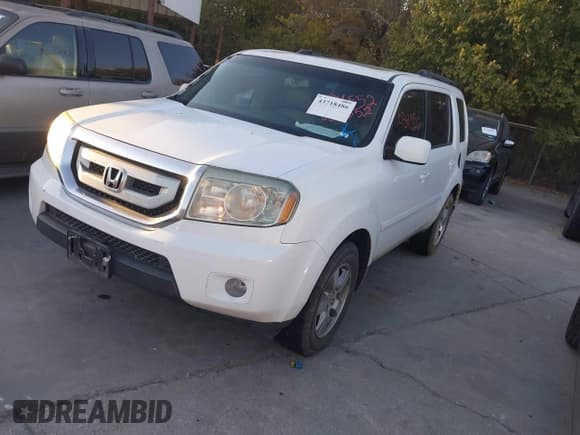 ✅ 2009 Honda Pilot EX-L • VIN: 5FNYF485X9B034552 • Лот: 43718486. Опубликован ранее на IAAI с пробегом 158 453 миль. Бесплатный доступ к архиву аукционных продаж из США и подробный отчёт об истории автомобиля на DreamBid. Изображение 2.