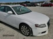 ✅ 2009 Audi A4 Premium Plus • VIN: WAULK78K29N046075 • Lot: 74759624. Listed on Copart with 174,736 mi. Free auction sales archive from the USA and detailed vehicle history report at DreamBid. Image 11.