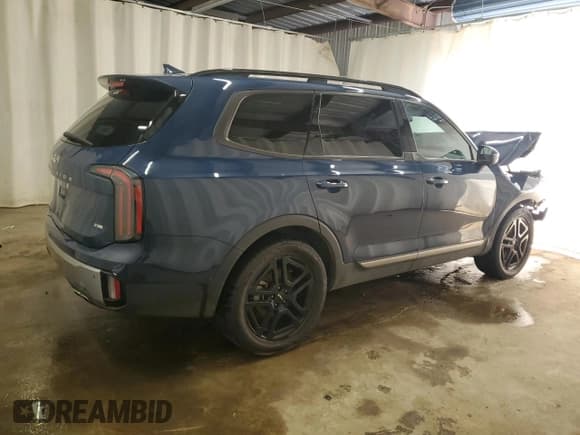 ✅ 2023 Kia Telluride EX X-Line • VIN: 5XYP3DGCXPG396410 • Lot: 68757245. Wystawiony na Copart z przebiegiem 76 020 mil. Bezpłatny archiwum sprzedaży aukcyjnych z USA i szczegółowy raport historii pojazdu na DreamBid. Zdjęcie 3.