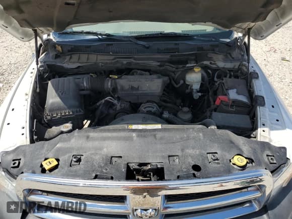 ✅ 2010 Dodge 1500 SLT • VIN: 1D7RB1GP0AS221331 • Lot: 56159405. Wystawiony na Copart z przebiegiem 170 162 mil. Bezpłatny archiwum sprzedaży aukcyjnych z USA i szczegółowy raport historii pojazdu na DreamBid. Zdjęcie 11.