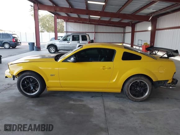 ✅ 2006 Ford Mustang GT Deluxe • VIN: 1ZVHT82H465140329 • Лот: 43529291. Опубликован ранее на IAAI с пробегом 217 608 миль. Бесплатный доступ к архиву аукционных продаж из США и подробный отчёт об истории автомобиля на DreamBid. Изображение 14.