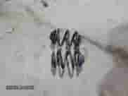 2000 BMW 3 Series 323i с VIN WBAAM3338YKC66026, выставлен на аукционе Copart как лот 47456685 с пробегом 211 899 миль миль и Чистый • Clean title. История ставок и продаж доступна на DreamBid. Изображение 12.