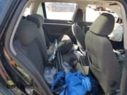 ✅ 2009 Volkswagen Jetta • VIN: 3VWMZ81K19M261604 • Лот: 48289845. Опубликован ранее на Copart с пробегом Не указан. Бесплатный доступ к архиву аукционных продаж из США и подробный отчёт об истории автомобиля на DreamBid. Изображение 10.