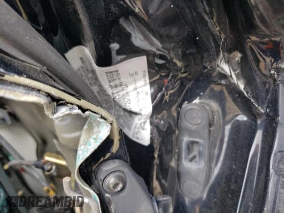 ✅ 2003 Ford Mustang SVT Cobra • VIN: 1FAFP49Y63F309534 • Лот: 69459154. Опубликован ранее на Copart с пробегом 100 372 миль. Бесплатный доступ к архиву аукционных продаж из США и подробный отчёт об истории автомобиля на DreamBid. Изображение 12.