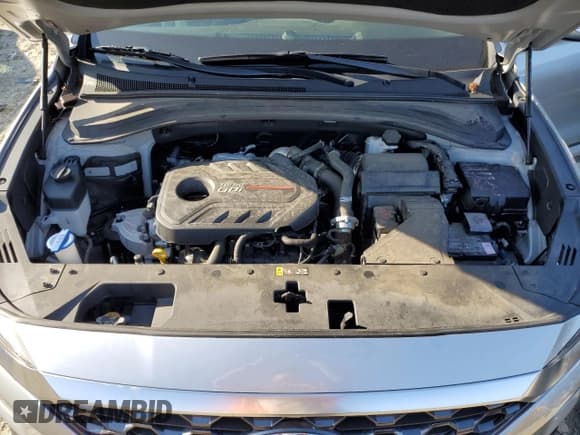 ✅ 2020 Hyundai Santa Fe SEL • VIN: 5NMS3CAA6LH239873 • Lot: 42110684. Wystawiony na Copart z przebiegiem 86 878 mil. Bezpłatny archiwum sprzedaży aukcyjnych z USA i szczegółowy raport historii pojazdu na DreamBid. Zdjęcie 12.