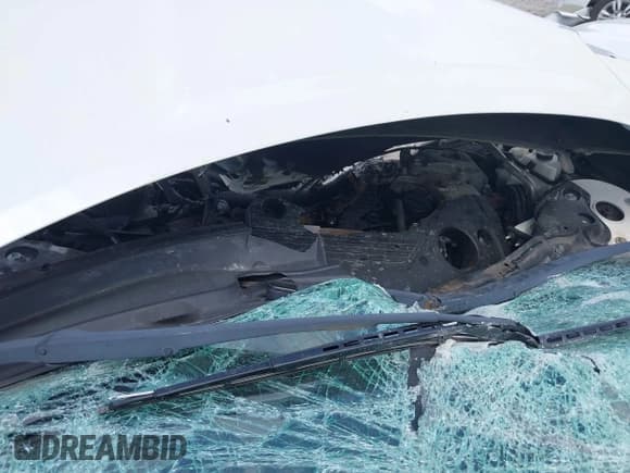 ✅ 2017 Nissan Altima SR • VIN: 1N4AL3AP3HC239115 • Lot: 42109479. Listed on IAAI with Not provided. Free auction sales archive from the USA and detailed vehicle history report at DreamBid. Image 10.