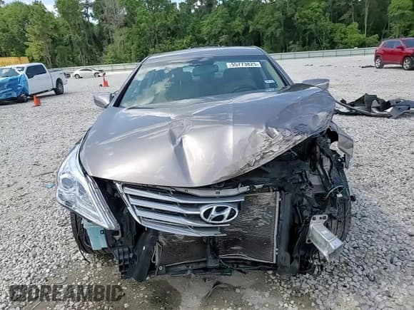 ✅ 2013 Hyundai Azera • VIN: KMHFG4JG0DA311156 • Лот: 55773825. Опубликован ранее на Copart с пробегом 87 264 миль. Бесплатный доступ к архиву аукционных продаж из США и подробный отчёт об истории автомобиля на DreamBid. Изображение 13.