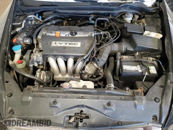 ✅ 2004 Honda Accord EX • VIN: 1HGCM55694A031289 • Лот: 42199455. Опубликован ранее на Copart с пробегом 319 317 миль. Бесплатный доступ к архиву аукционных продаж из США и подробный отчёт об истории автомобиля на DreamBid. Изображение 11.