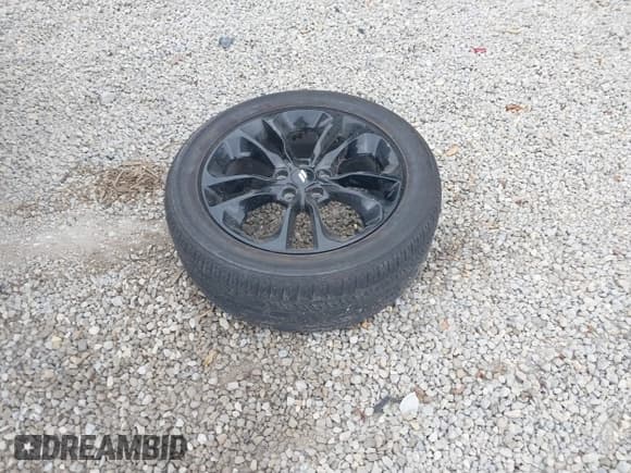 ✅ 2020 Dodge Durango R/T • VIN: 1C4SDJCT3LC248691 • Lot: 40119260. Listed on IAAI with 19,452 mi. Free auction sales archive from the USA and detailed vehicle history report at DreamBid. Image 12.